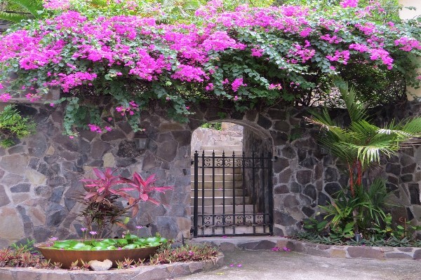 bay tree villa 